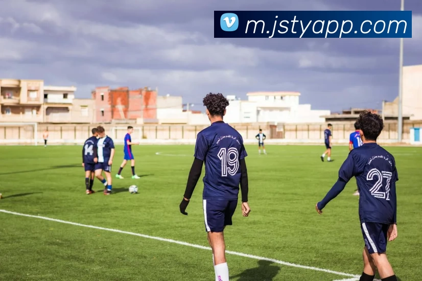 极速体育APP平台生态图